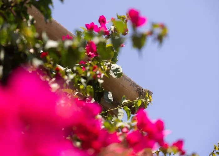 别墅 Boseta By Sunvillas Mallorca *