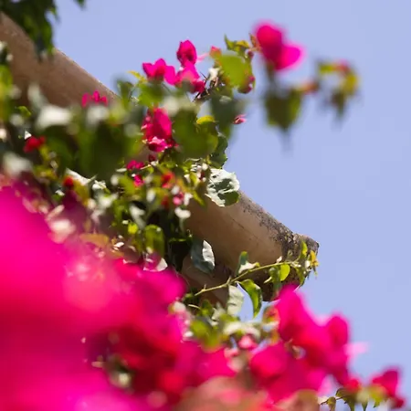 Villa Boseta By Sunvillas Mallorca *